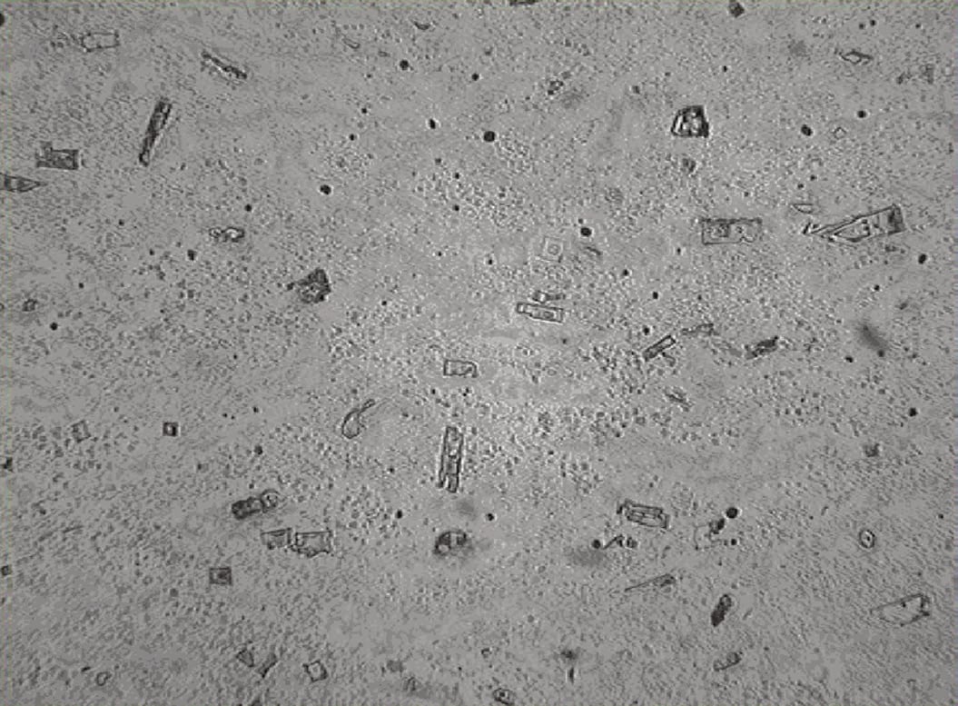 Colmonoy® 88F | Surfacing Alloys